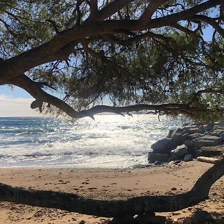 דירה Vue Mer Appartement Cosy 75 M2