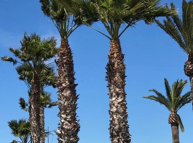 Vue Mer Appartement Cosy 75 M2