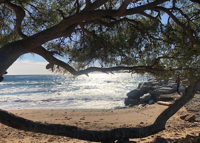 דירה Vue Mer Appartement Cosy 75 M2